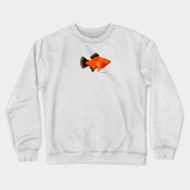 Red Wagtail Platy Fish Crewneck Sweatshirt by julianamotzko